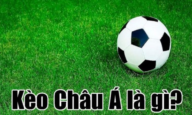 Sodo66 cung cấp các sản phẩm và dịch vụ giải trí chất lượng cao nhất - Sodo66