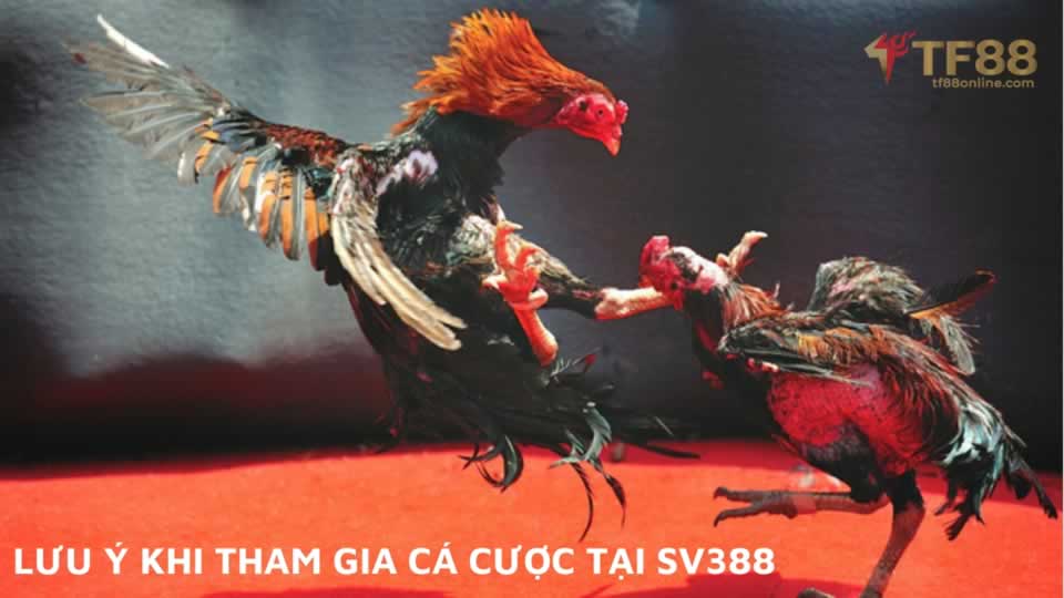 Chi tiết quy trình xả thải 11Bet - 11Bet