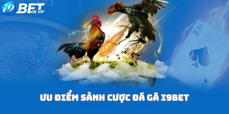 Khám phá trang web cá cược Sic Bo hàng đầu Do99 - Do99