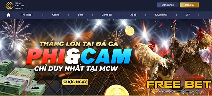Thông tin an toàn cơ bản của Sodo - Sodo