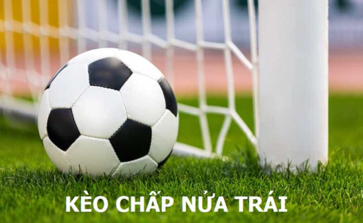 Người dùng mới có thể đăng nhập vào cổng thông tin Pho88 Games bằng cách nào? - Pho88
