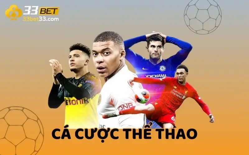 Hướng dẫn đầy đủ cách bắt đầu cá cược các giải đấu Vinbet năm 2026 - Vinbet
