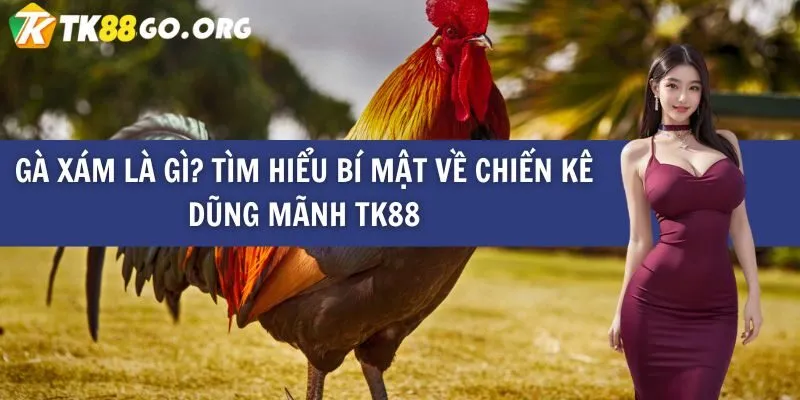Bancah5com cung cấp rất nhiều trò chơi đa dạng - Bancah5